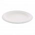EarthChoice PFAS Free Compostable Dinnerware, Plate, Sugarcane, 6