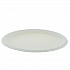 EarthChoice PFAS Free Compostable Dinnerware, Plate, Sugarcane, 10.25