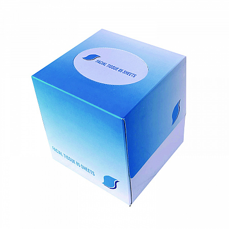 Facial Tissue Cube Box, 2-Ply, White, 85 Sheets/Box, 36 Boxes/Carton (852E)