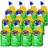 Acidic Toilet Bowl Cleaner, Mint Scent, 32 oz Bottle, 12/Carton (ZUATBC32)