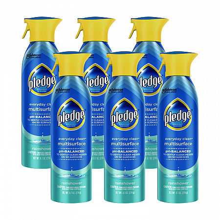 Multi-Surface Everyday, Rainshower Scent, 9.7 oz Aerosol Spray, 6/Carton (336275)