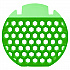 Refresh 2.0 Gel Air Freshener, Cucumber Melon, 2 oz Gel, 12/Box (2REFCUMELON)