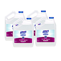 Foodservice Surface Sanitizer, Fragrance-Free, 1 gal Bottle, 4/Carton (434104)
