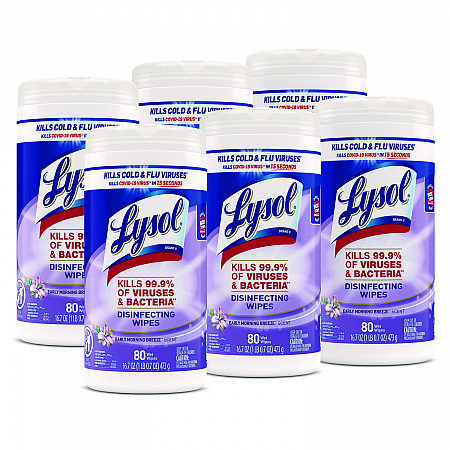 Disinfecting Wipes, 1-Ply, 7 x 7.25, Early Morning Breeze, White, 80 Wipes/Canister, 6 Canisters/Carton (89347CT)