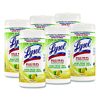 Disinfecting Wipes II Fresh Citrus, 1-Ply, 7 x 7.25, White, 70 Wipes/Canister, 6 Canisters/Carton (49128CT)