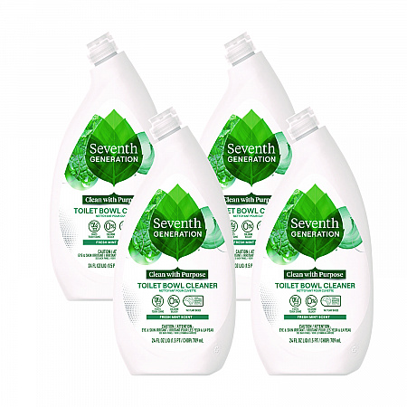 Toilet Bowl Cleaner, Fresh Mint Scent, 24 oz Bottle, 4/Carton (45166CT)