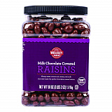 Milk Chocolate Covered Raisins, 50 oz Jar (22002345)