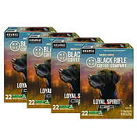 Loyal Spirit Coffee K-Cups, 88/Carton (0571CT)