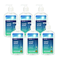 Liquid Hand Soap, Free and Clear Scent, 17 oz, 6/Carton (PL96636CT)