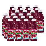Juice Beverage, Cranberry, 10 oz Bottle, 24/Carton (913717)