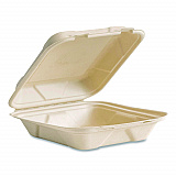 Nourish Molded Fiber Takeout Containers, Compostable, 7.9 x 7.9 x 2.9, White, Sugarcane, 200/Carton (VWHC81NFA)