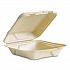Nourish Molded Fiber Takeout Containers, Compostable, 7.9 x 7.9 x 2.9, White, Sugarcane, 200/Carton (VWHC81NFA)