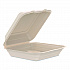 Compostable Molded Fiber Hinged Trays, ProPlanet Seal, 9.14 x 9 x 2.98, Natural, 200/Carton (90FBRHT1)