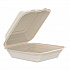 Compostable Molded Fiber Hinged Trays, ProPlanet Seal, 8.65 x 7.94 x 2.98, Natural, 200/Carton (80FBRHT1)