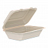 Compostable Molded Fiber Hinged Trays, ProPlanet Seal, 6.41 x 9.22 x 3, Natural, 200/Carton (206FBRHT1)