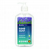 Liquid Hand Soap, Lavender Scent, 17 oz (PL96656EA)