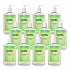 Antibacterial Lotion Soap, Floral Scent, 12 oz (975912)