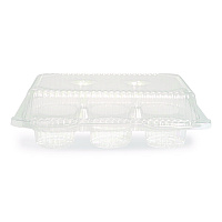 Bakery Containers, Muffin/Cupcake, 7.25 x 9.88 x 3.13, Clear, 250/Carton (18200)