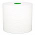 Hard Roll Paper Towels with Premium Absorbency Pockets with Colored Core, Green Core, 1-Ply, 7.5
