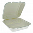 EarthChoice Bagasse Hinged Lid Container, 7.8 x 7.8 x 2.8, White, 150/Carton (YMCH0803BB)