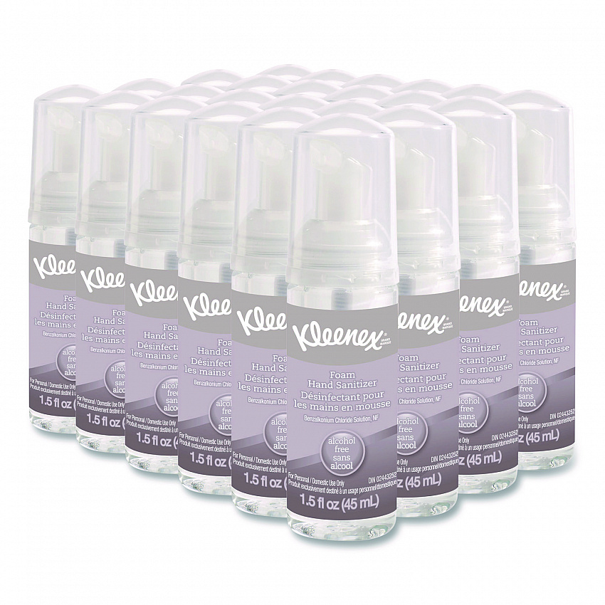 Alcohol-Free Foam Hand Sanitizer, 1.5 oz Pump Bottle, Unscented, 24/Carton (34136)