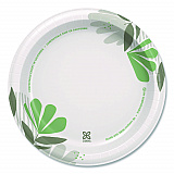 Pathways Soak-Proof Shield Mediumweight Paper Plates, WiseSize, 8.5" dia, Green/Burgundy, 125/Pack (UX9WSPK)