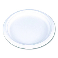 ChampWare Molded Fiber Tableware, Molded Fiber Plate, 10" dia, White, 125 Plates/Sleeve, 4 Sleeves/Carton (18160WPF)