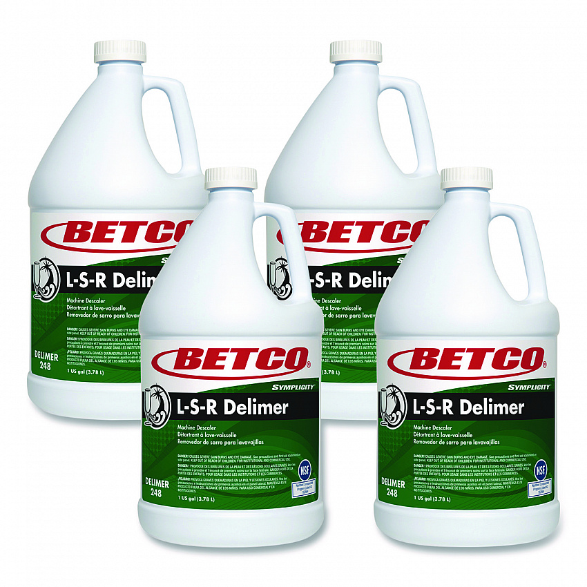 L S R Delimer, 1 gal Bottle, 4/Carton (2480400)