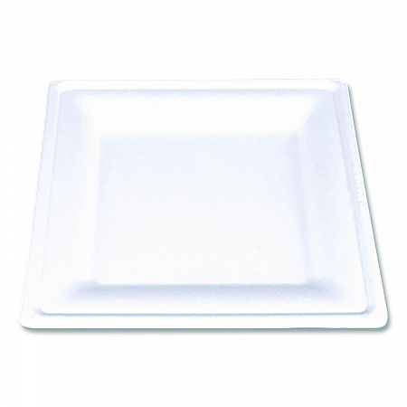 ChampWare Molded Fiber Tableware, Square Molded Fiber Plate, 8