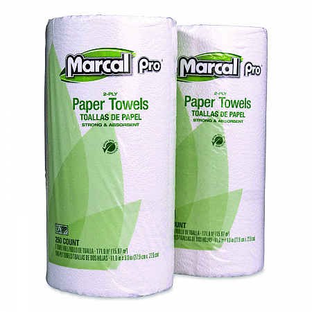 100% Premium Recycled Kitchen Roll Towels, 2-Ply, 11 x 8.8, White, 12 Rolls/Carton (250HC)