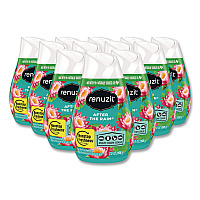 Adjustables Air Freshener, After the Rain, 7 oz Solid, 12/Carton (43100CT)