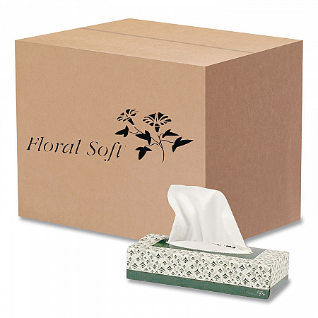 White Facial Tissue, 2-Ply, 100 Sheets/Box, 30 Boxes/Carton (F100)