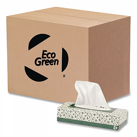 Recycled Two-Ply Facial Tissue, White, 150 Sheets/Box, 20 Boxes/Carton (EF150)