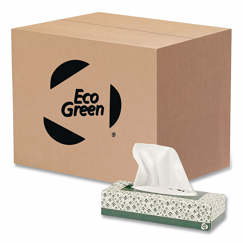 Recycled Two-Ply Facial Tissue, White, 150 Sheets/Box, 20 Boxes/Carton (EF150)