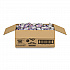 Bulk Liquid Coffee Creamer, Italian Sweet Cream, 0.38 oz Mini Cups, 180/Carton (21108CT)