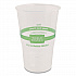 PLA Clear Cold Cups, 9 oz, Plastic, Clear, 2,000/Carton (CPCS9)