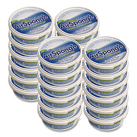 Sponge Odor Absorber, 0.5 lbs Cup, 24/Carton (1011)
