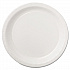 Coated Paper Dinnerware, Plate, 9