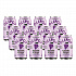 Prebiotic Soda, Classic Grape, 12 oz Can, 12/Carton (ICO70287)
