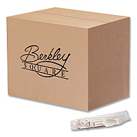 Mediumweight Cutlery Kit, Fork/Knife/Napkin/Pepper/Salt/Spoon, Plastic, White, 250/Carton (1171241)