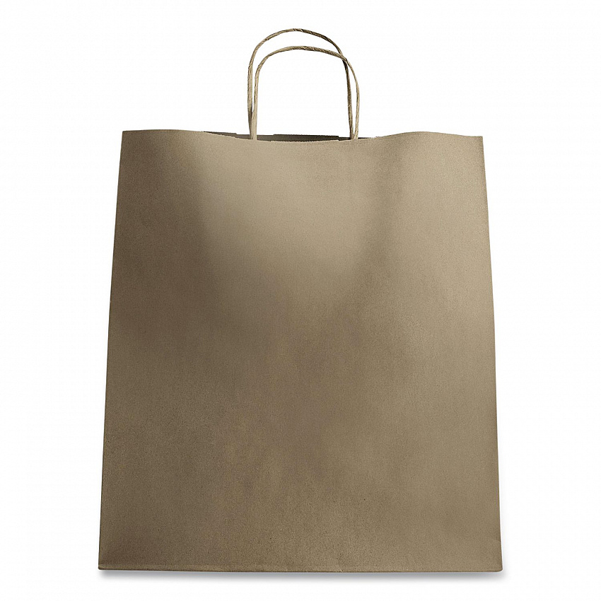 Huntington Paper Shopping Bag, Rope Handles, Large Size, 13.4 x 9.3 x 15.9, Kraft, 200/Carton (FPSB130)