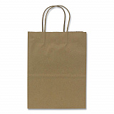 Paper Shopping Bag, Rope Handles, Small Size, 8.1 x 4.5 x 10.6, Kraft, 250/Carton (FPSB100)