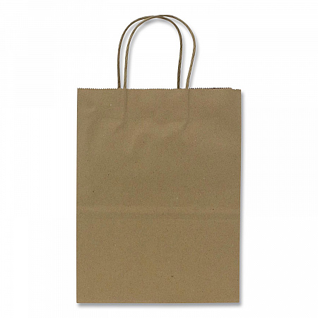 Paper Shopping Bag, Rope Handles, Small Size, 8.1 x 4.5 x 10.6, Kraft, 250/Carton (FPSB100)