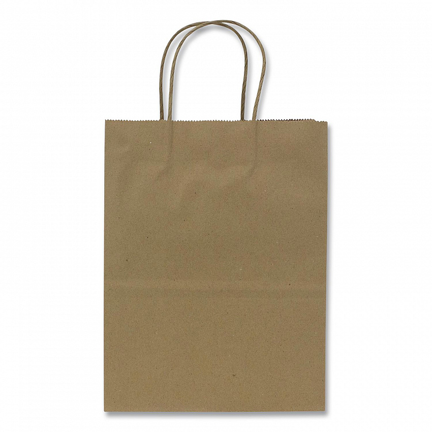 Paper Shopping Bag, Rope Handles, Small Size, 8.1 x 4.5 x 10.6, Kraft, 250/Carton (FPSB100)