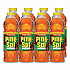 Multi-Surface Cleaner Disinfectant Concentrated, Pine Scent, 20 oz Bottle, 8/Carton (60149CT)