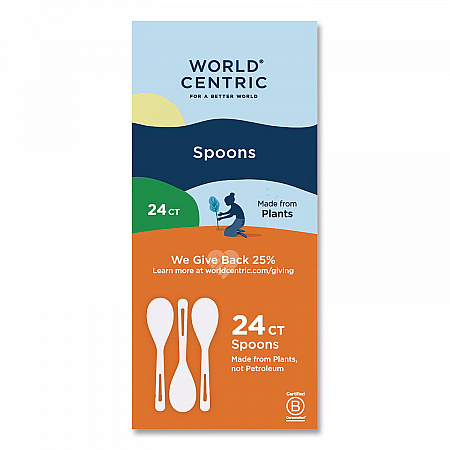 TPLA Cutlery, Medium Heavyweight, Spoon, Plastic, Light Beige, 24/Pack (SPPSR)