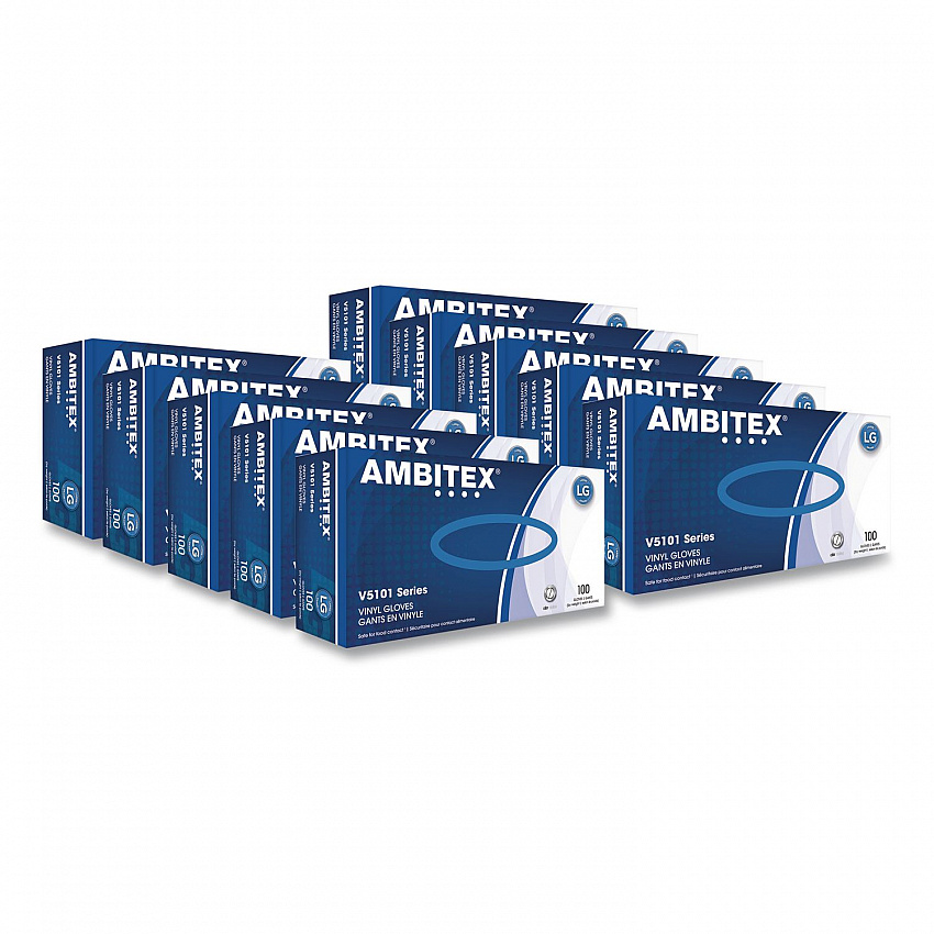 V5101 Series Latex-Free Lightly Powdered Vinyl Gloves, Large, 3 mil Thick, 9" Long, Clear, 1,000/Carton (VLG5101CT)