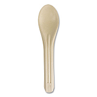 NoTree Cutlery, Light Mediumweight, Spoon, Paper, Natural, 1,000/Carton (SPNT6)