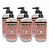 Clean Day Liquid Hand Soap, Geranium Scent, 12.5 oz, 6/Carton (391525)