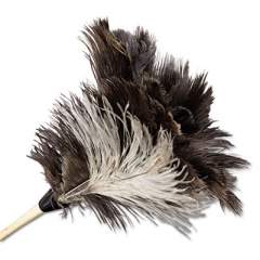 Boardwalk Professional Ostrich Feather Duster, 7" Handle (13FD)
